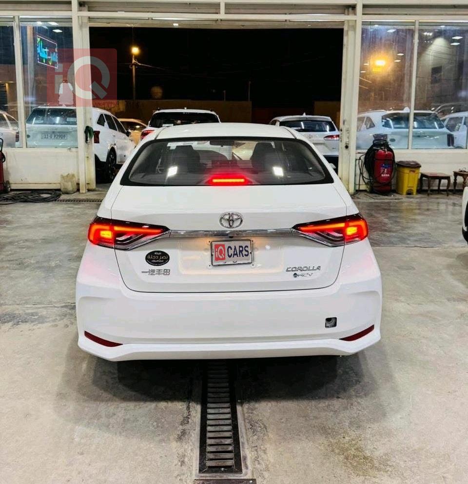 تويوتا كورولا